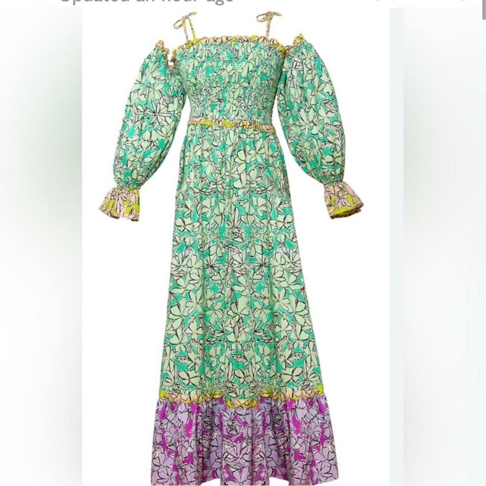 CeliaB - New with tags, Floral Green and Purple Maxi Dress